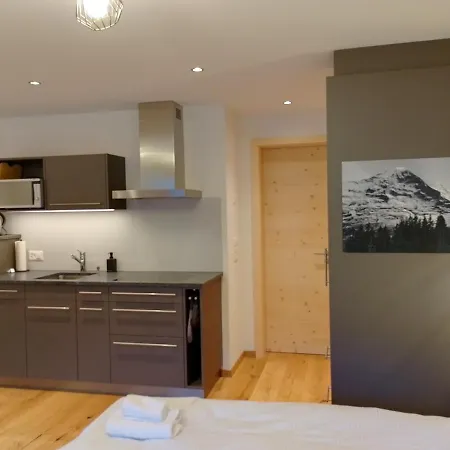 3970 Apartment Grindelwald