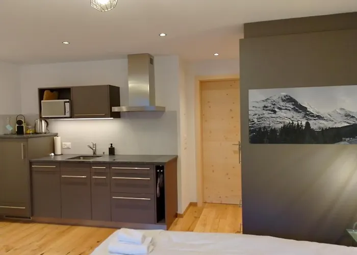 3970 Apartment Grindelwald